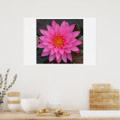 Water Lilly Poster (Keuken)