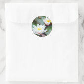 Water Lilly sticker (Tas)