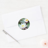 Water Lilly sticker (Envelop)