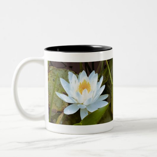 Water Lilly Tweekleurige Koffiemok (Links)