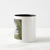 Water Lilly Tweekleurige Koffiemok (Center)