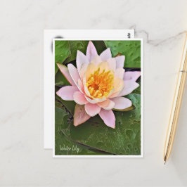 Water Lily ポストカード Briefkaart