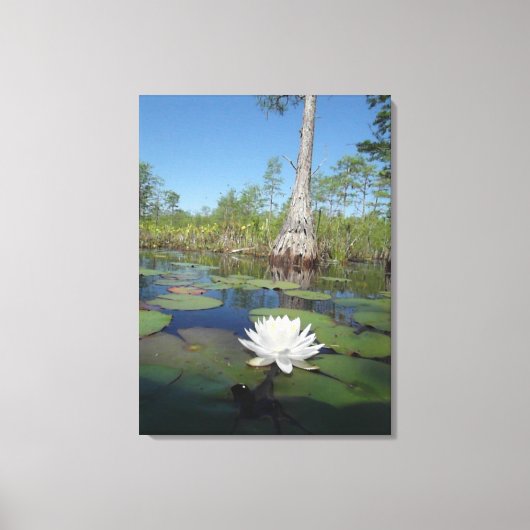 Water Lily 2 Canvas Afdruk (Voorkant)