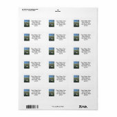 Water Lily 2 Etiket (Full Sheet)