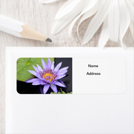 Water Lily 2 Etiket (Insitu)