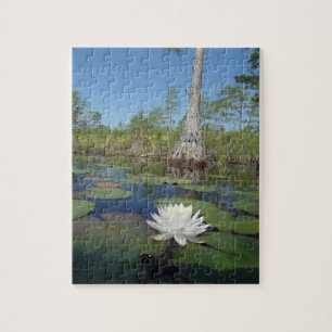 Water Lily 2 Legpuzzel