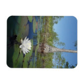 Water Lily 2 Magneet (Horizontaal)