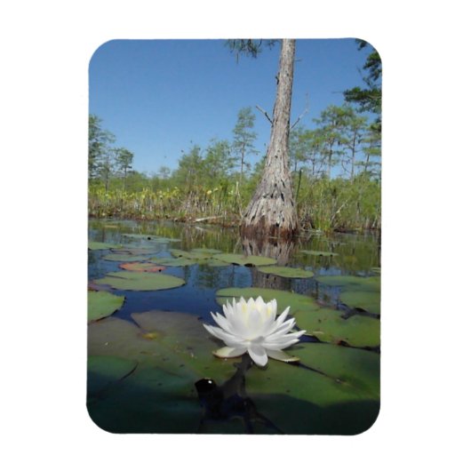 Water Lily 2 Magneet (Verticaal)