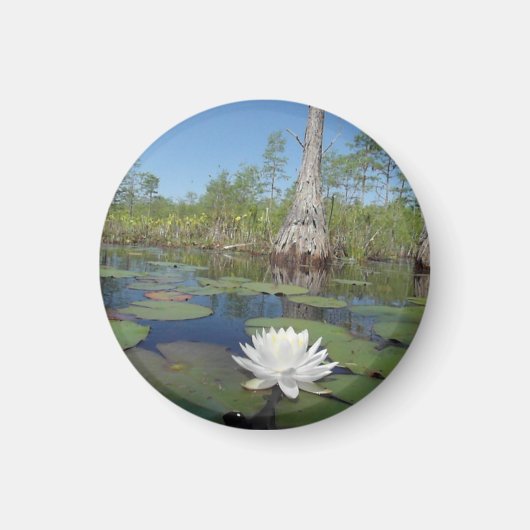 Water Lily 2 Magneet (Voorkant)