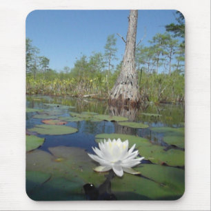 Water Lily 2 Muismat