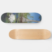 Water Lily 2 Skateboard (Horizontaal)