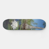 Water Lily 2 Skateboard (Horizontaal)