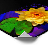 WATER LILY , AFDRUK POSTER (Hoek)