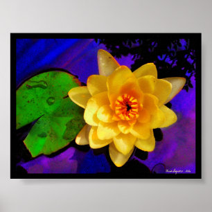WATER LILY , AFDRUK POSTER