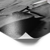 Water Lily Aquatic Plant Photo Poster (Hoek)