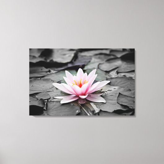 Water Lily Aquatic Plant Stretted Canvas Print (Voorkant)