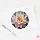 Water Lily Beauty Ronde Sticker (Envelop)