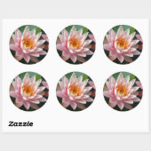 Water Lily Beauty Ronde Sticker (Vel)