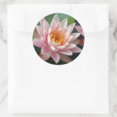 Water Lily Beauty Ronde Sticker (Tas)
