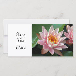 Water Lily Beauty Save The Date