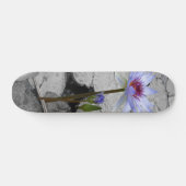 Water Lily Beauty Skateboard (Horizontaal)