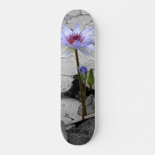 Water Lily Beauty Skateboard (Voorkant)