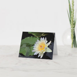 Water Lily Bedankkaart