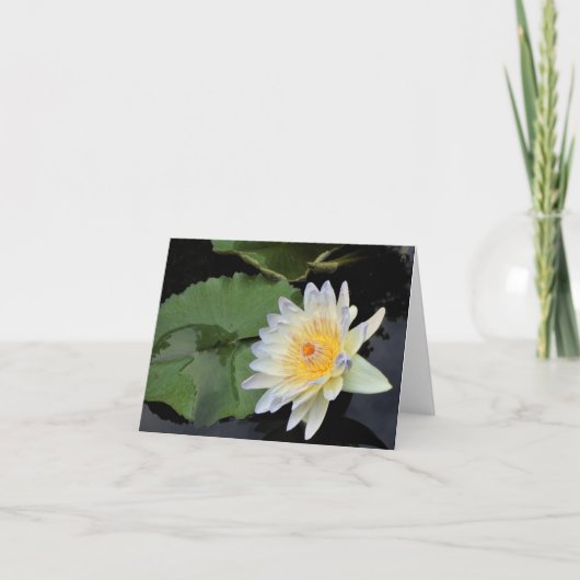 Water Lily Bedankkaart (Voorkant)
