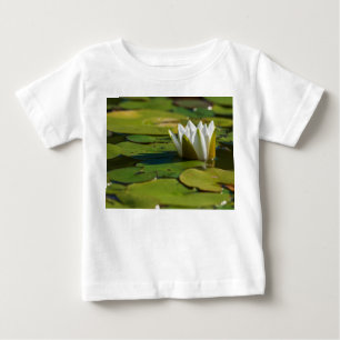 Water Lily Blossom