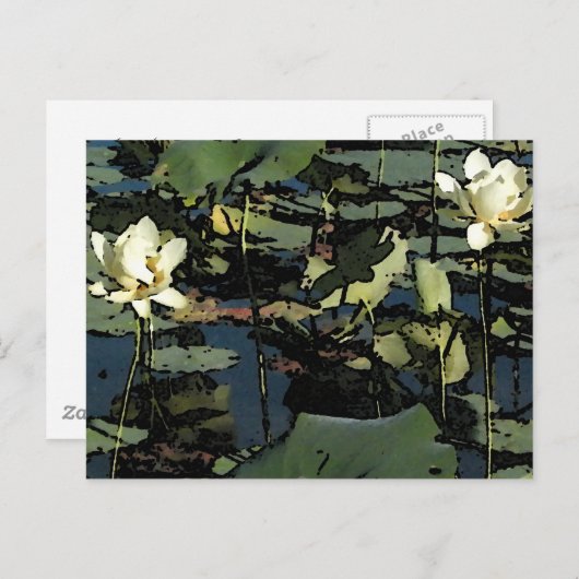 Water Lily Blossom Briefkaart (Voorkant / Achterkant)