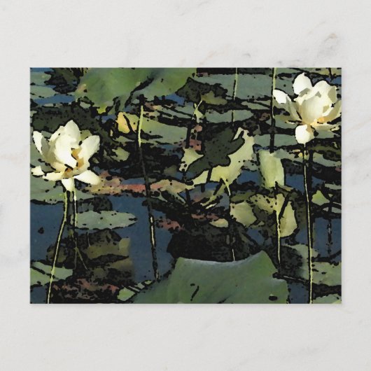 Water Lily Blossom Briefkaart (Voorkant)
