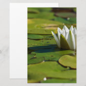 Water Lily Blossom Briefpapier (Voorkant / Achterkant)