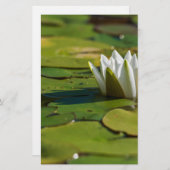 Water Lily Blossom Briefpapier (Voorkant / Achterkant)