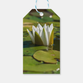 Water Lily Blossom Cadeaulabel