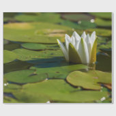 Water Lily Blossom Cadeaupapier (Vlak)