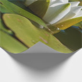 Water Lily Blossom Cadeaupapier (Hoek)