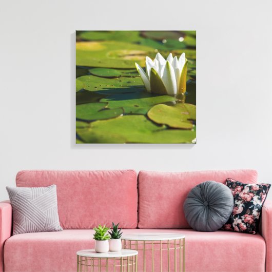 Water Lily Blossom Canvas Afdruk (Insitu (Woonkamer))