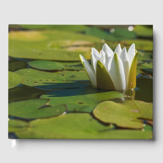 Water Lily Blossom Gastenboek (Voorkant)