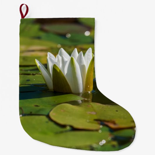 Water Lily Blossom Grote Kerstsok (Voorkant)