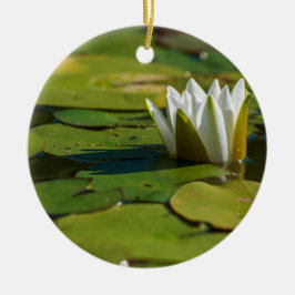 Water Lily Blossom Keramisch Ornament