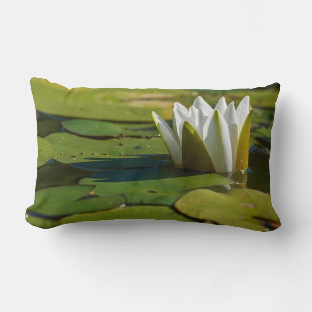 Water Lily Blossom Kussen (Voorkant)