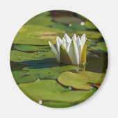Water Lily Blossom Magneet (Voorkant)