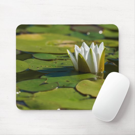 Water Lily Blossom Muismat (Met muis)