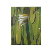 Water Lily Blossom Notitieblok (Linkerzijde)