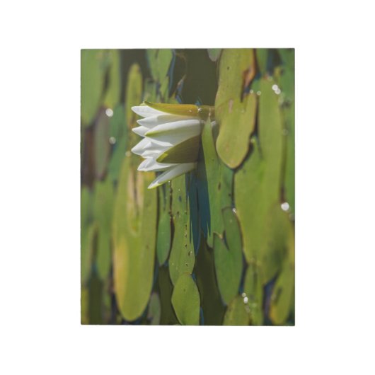 Water Lily Blossom Notitieblok (Linkerzijde)