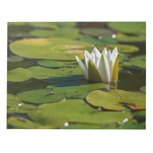 Water Lily Blossom Notitieblok (Voorkant)