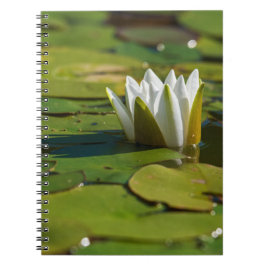 Water Lily Blossom Notitieboek