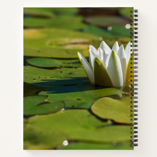 Water Lily Blossom Notitieboek (Achterkant)