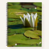 Water Lily Blossom Notitieboek (Voorkant)