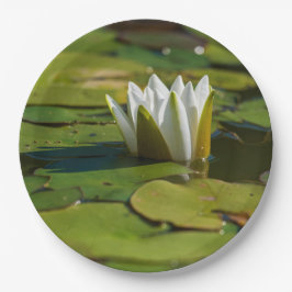 Water Lily Blossom Papieren Bordje